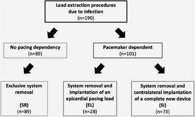 Infection remediation after septic device extractions: analysis of three treatment strategies including a 1-year follow-up